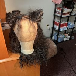 22 Inch Human Hair Wig