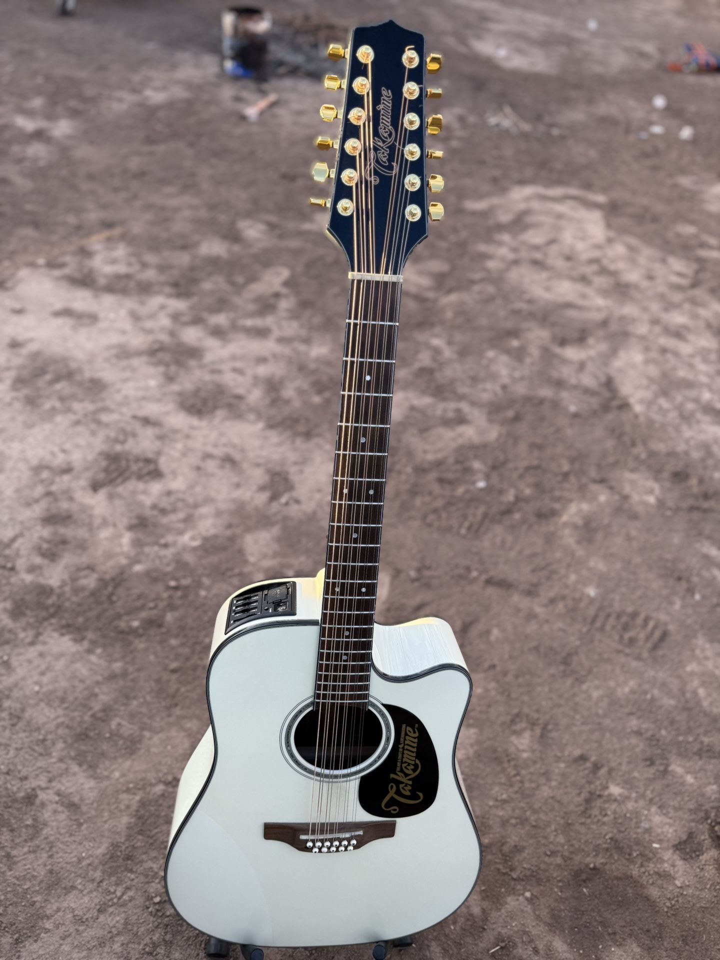 Takamine 12 String