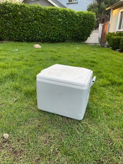 Igloo cooler/ hielera