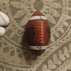 Old Pig Skin Football