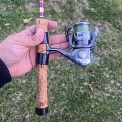 Fenwick Eagle Custom Trout Rod / Shimano Sienna 1000 Reel