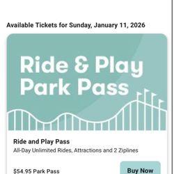 Belmont Park Wristbands 