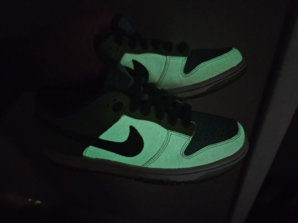 Rare Glow In The Dark Nike Dunk Low From 2006