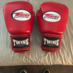 Twins Special Muay Thai Gloves 