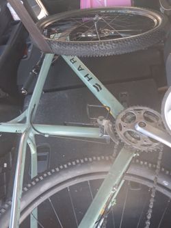 29 in haro