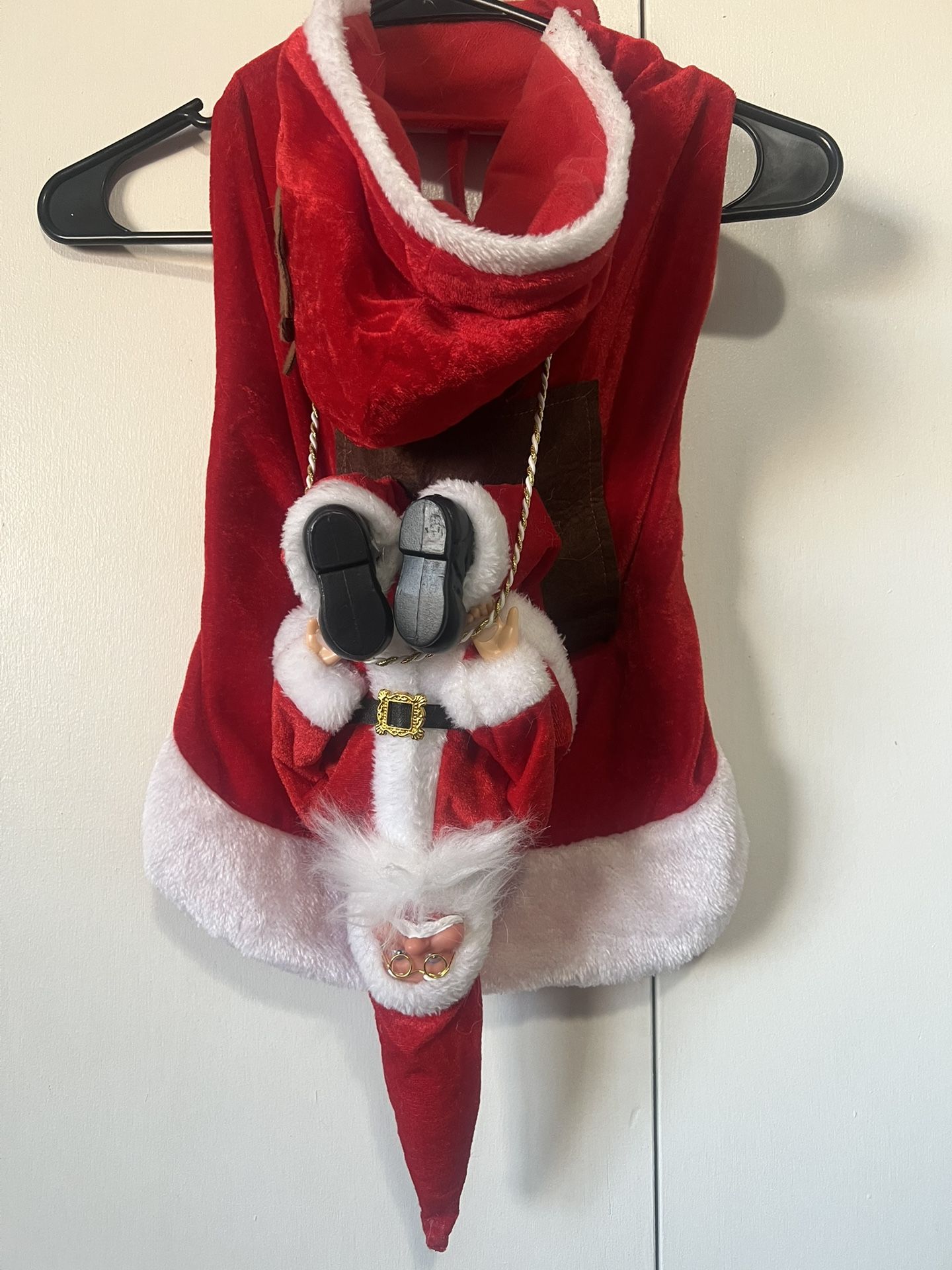 Pet Santa Outfit