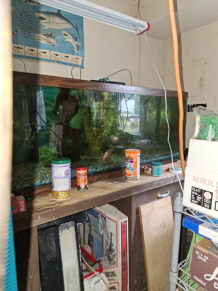 6 Ft Fish Tank With Wet Dry Filter