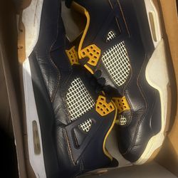 Jordan 4 Dunk From Above Size 11