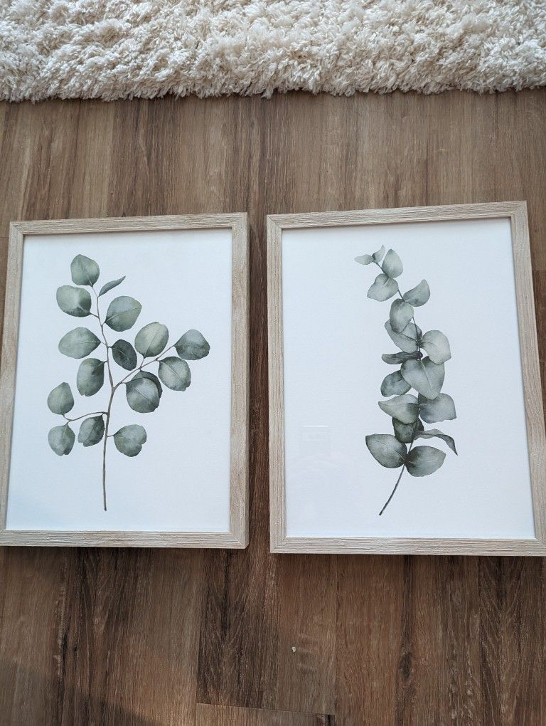 Two Piece Framed Eucalyptus Wall Art!