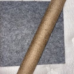 cat scratcher
