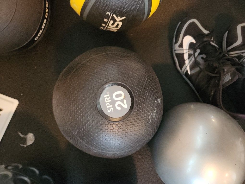 Weighted Fitness Balls