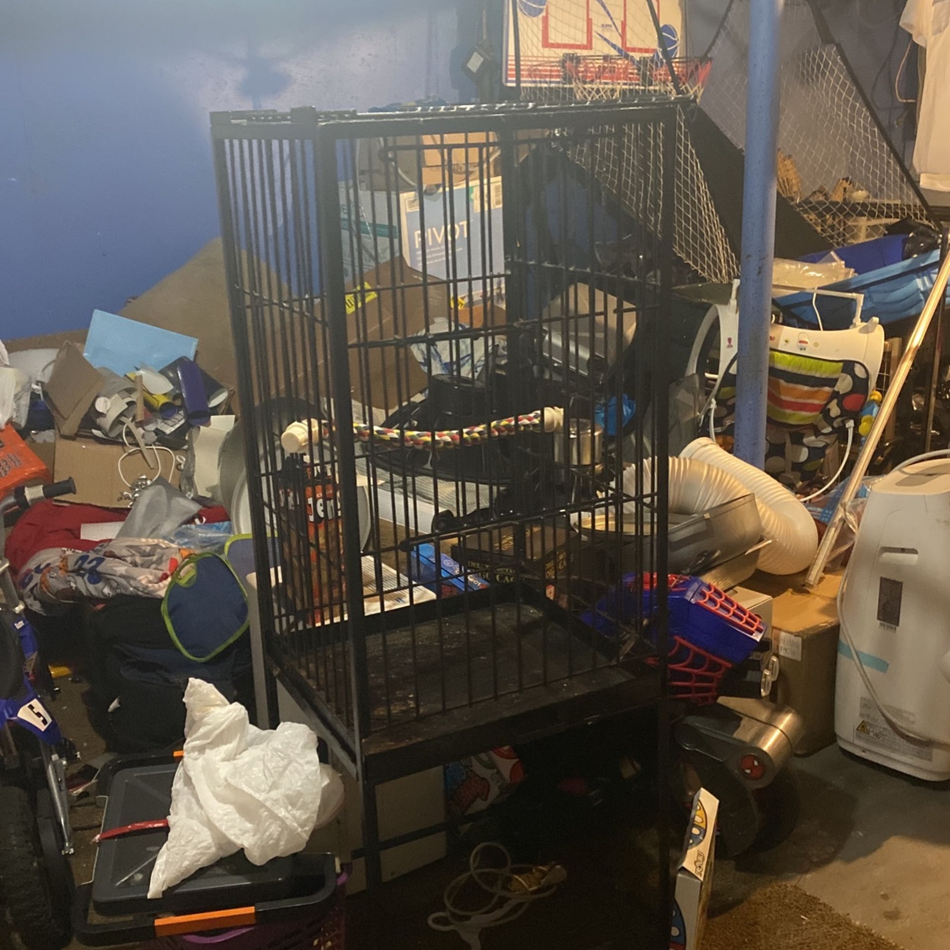 Bird Cage