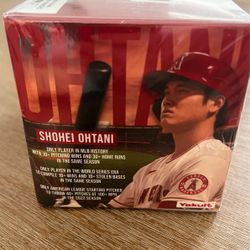 OHTANI 100 PIECE PUZZLE