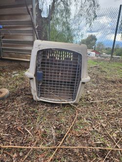 Animal Kennel