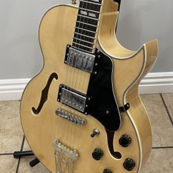 Glen Burton Hollow Body Electric Guitar Set