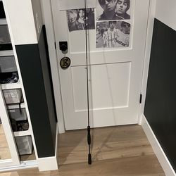 Daiwa Laguna rod 6’0 UL