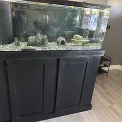 Fish tank and stand