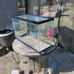 Aquarium 