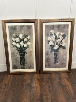 Framed pictures x 2