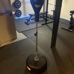 Everlast Reflex Bag