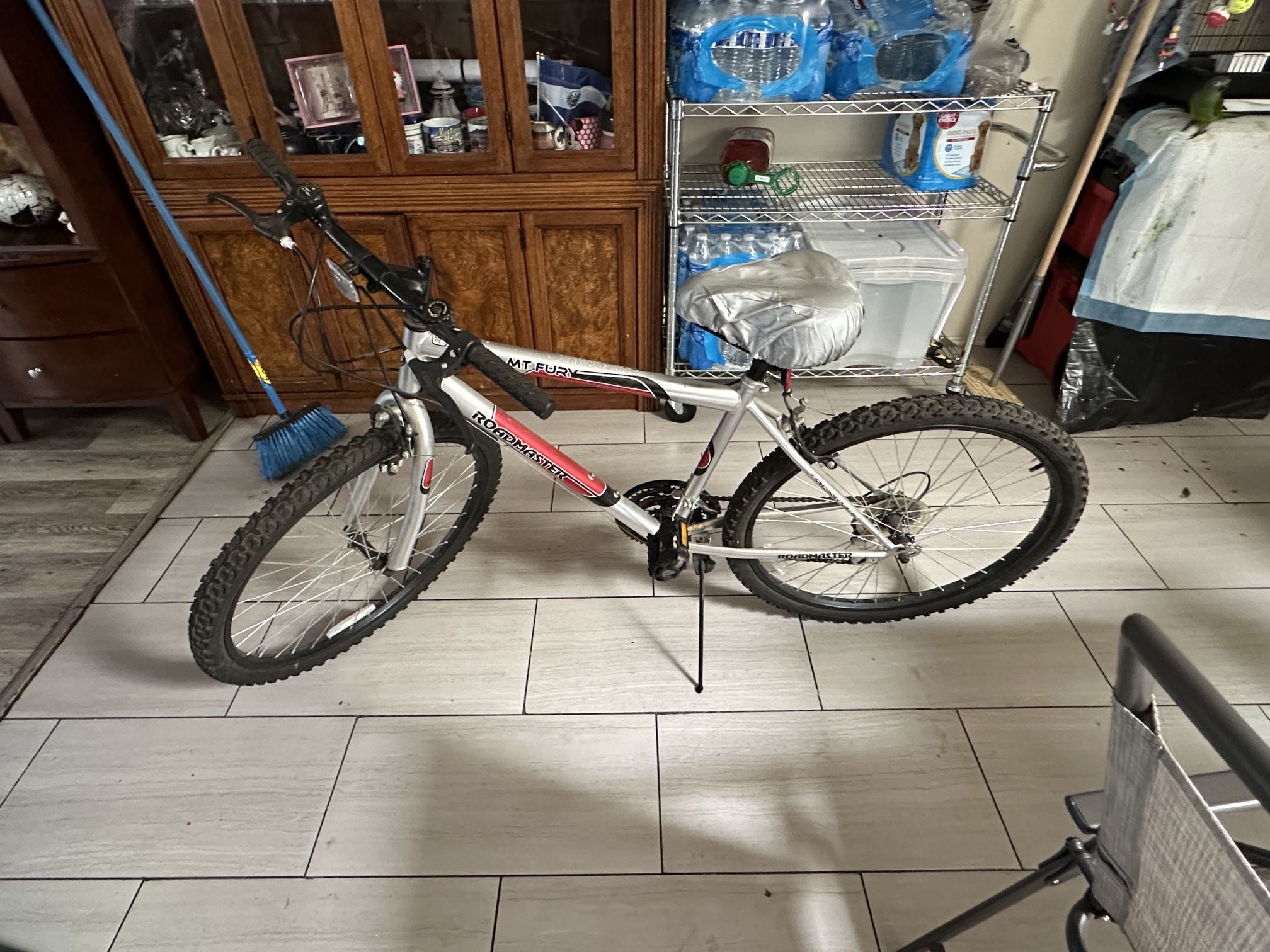 Road Master Bike
