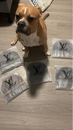 Lv beanis