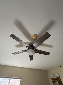 Ceiling Fan modern Elegant 