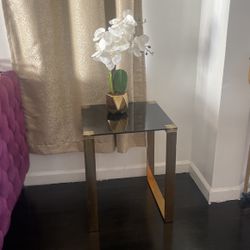 Coffee Table And Side Table 