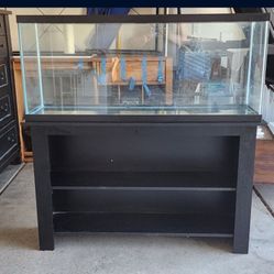 55 Gallon Fish Tank Aquarium