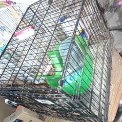 Animal Cage - Comes With Rabbit Accesories