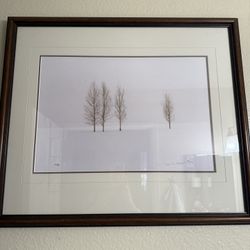 Winter Aspens Print 553/950