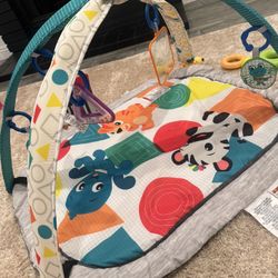 Baby Playmat 