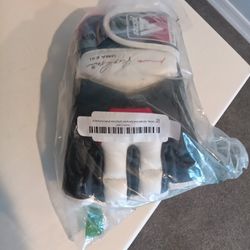 RDX T3 Leather MMA Gloves
GGL-T3W-S