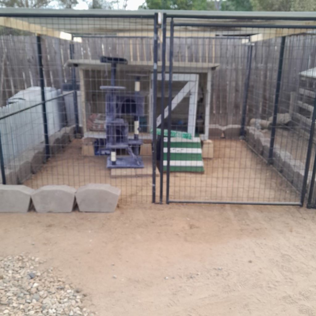 Dog/Animal Cage