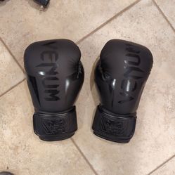 Venom boxing gloves