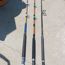 Nice Fishing Rods