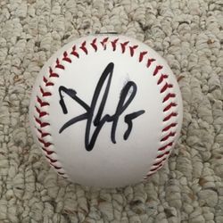 Norfolk tides signed baseball