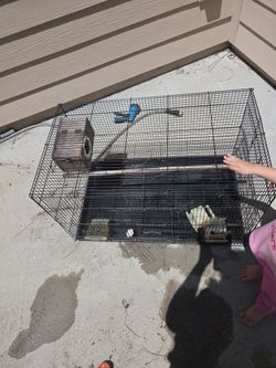 Large bird cage