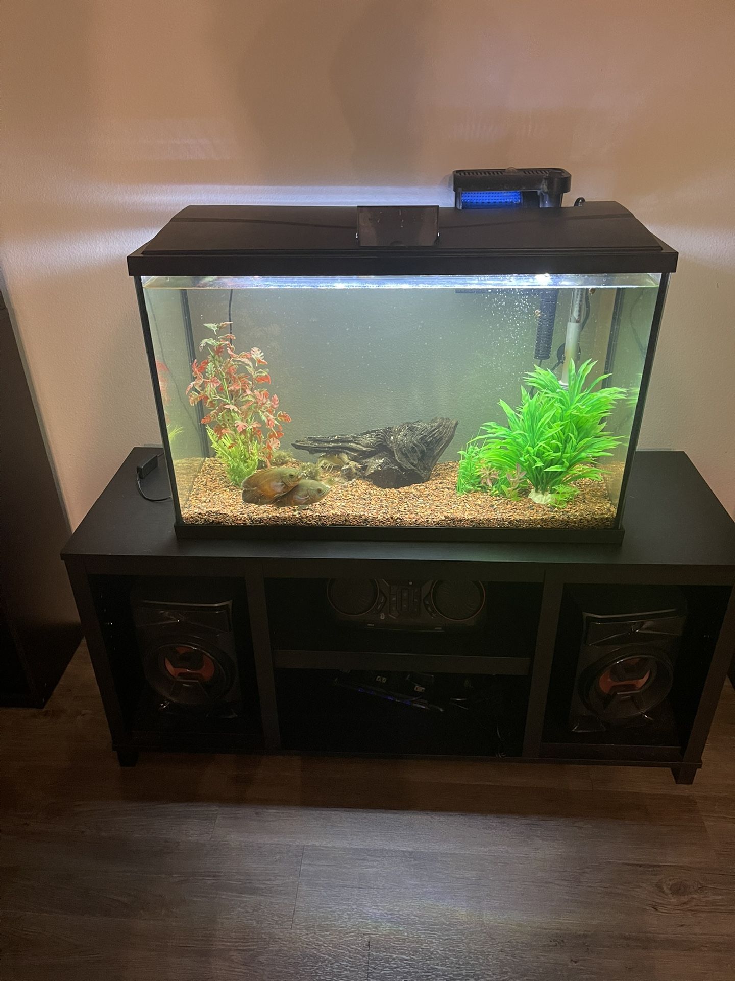 29 Gallon