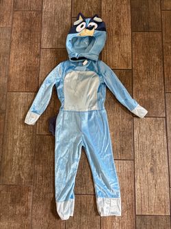 Bluey Costume