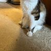 Zachary Butt
