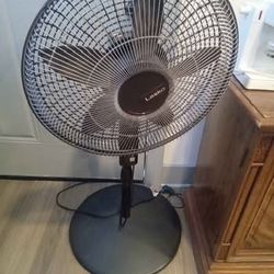 Oscillating Fan 