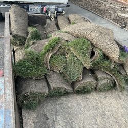 Fresh Sod 13 Rolls $60