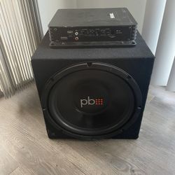 1000 Watt 2 Channel Amplifier And Subwoofer 