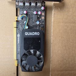 PNY P600 Quadro Card, 2GB