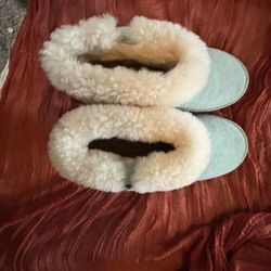 Bear Paw 