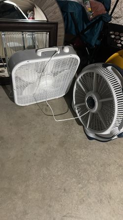 Fans