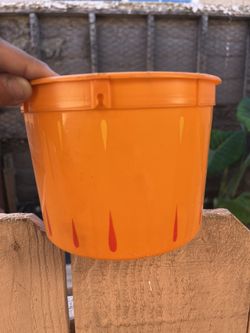 Halloween Bucket