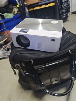 Projector