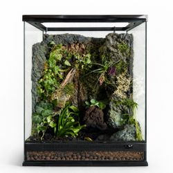 Custom Terrariums 